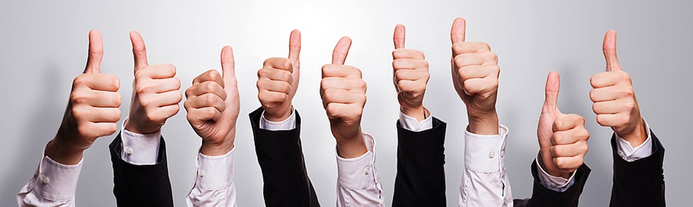 9 thumbs up for the swich from web EDI to an outsourced solution at "emil", a spirits manufacturer.