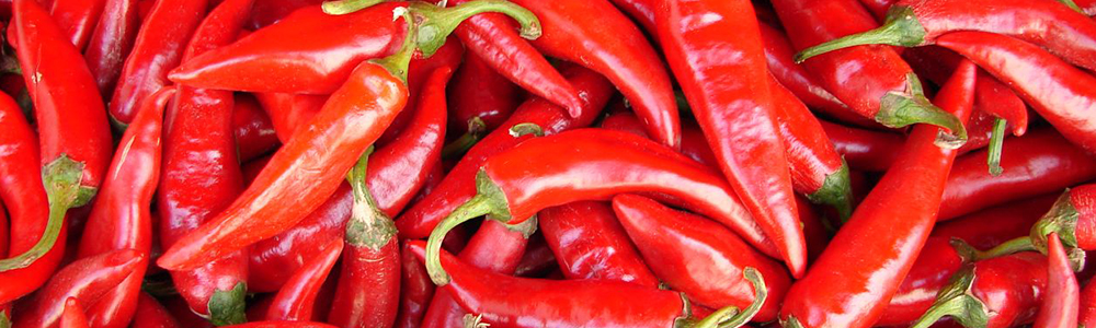 Close-up of red pepers to symolize the EDI services at Szegedi Paprika ZRt.